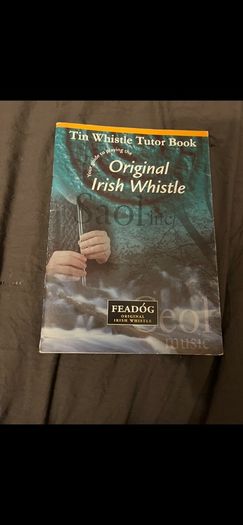 Irish whistle book