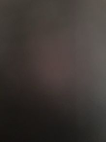 skirt  - new