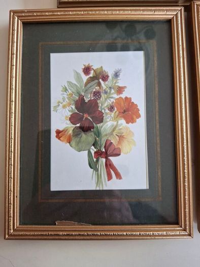 Art  - Coloured Prints X 5
