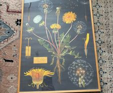 Large vintage style dandelion print