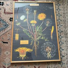 Large vintage style dandelion print