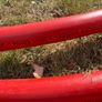 ESB ducting 50mm red approx 20M Image 3