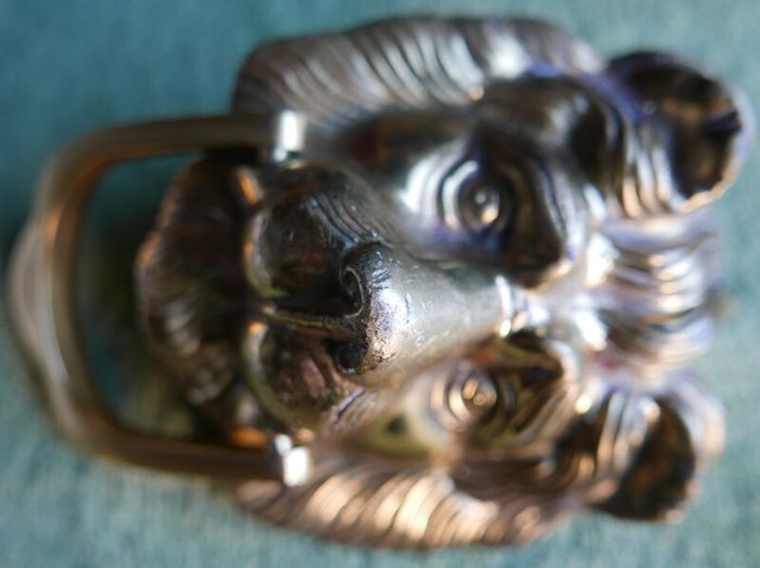 Vintage Brass Lion Door Knocker