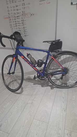 Contend Road Bike
