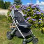 Uppa Baby Vista Image 2