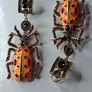 Bejewelled Crystal Large Beetle Earrings Image 4