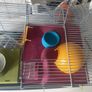 hamster cage good condition used Image 2