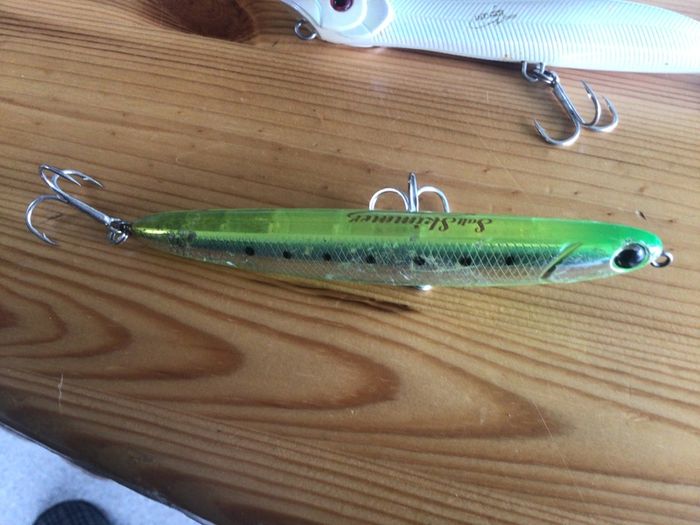 2 Surface Bass Lures