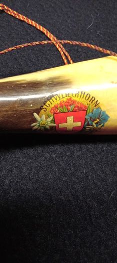 Vintage Cow Horn  1950s