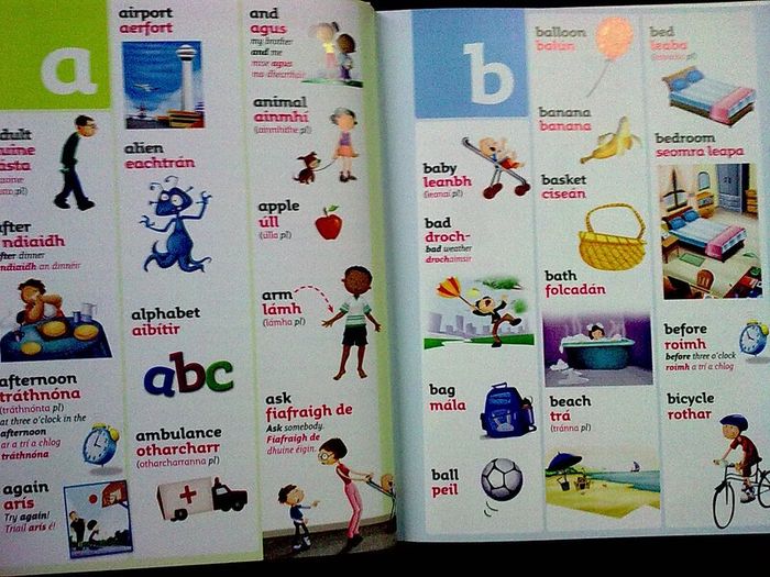 Collins very first Irish Dictionary Ireland Irish language Gaeilge