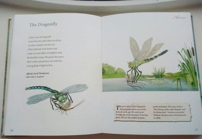 Great Poems Book