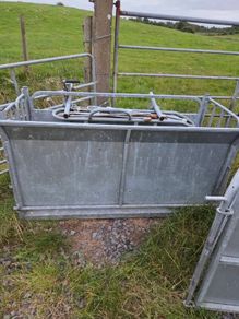 Sheep turnover crate