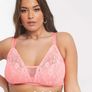 City Chic Curve Sexy glam lace bralette in Coral - 38C Image 2