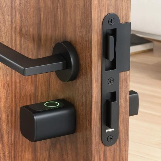 Fingerprint Door Cylinder