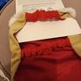 Velour reindeer festive dog coat Image 4