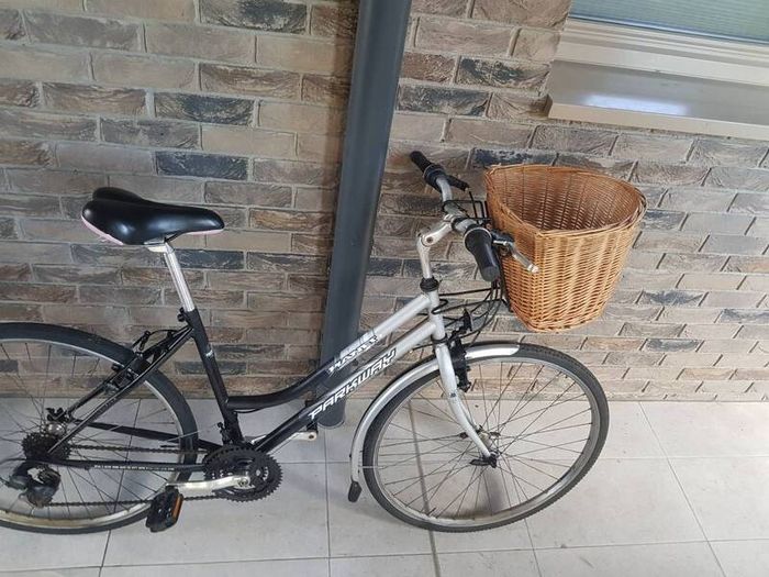 ladies bike( can deliver)