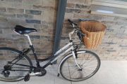 ladies bike( can deliver)