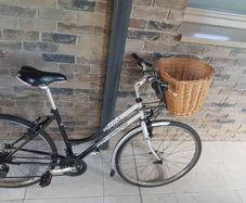 ladies bike( can deliver)