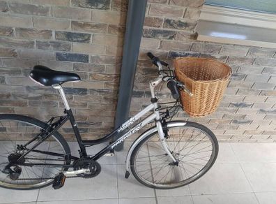 ladies bike( can deliver)