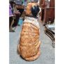 St Bernard Ceramic Floor Statue KAS1371 Image 4
