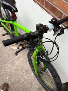 Frog 52