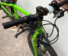 Frog 52