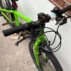 Frog 52