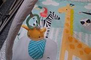 Baby play gym...REDUCED