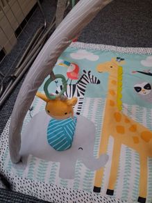 Baby play gym...REDUCED