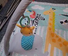 Baby play gym...REDUCED