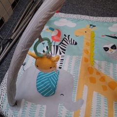 Baby play gym...REDUCED