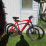 Mountain Bike Image 2