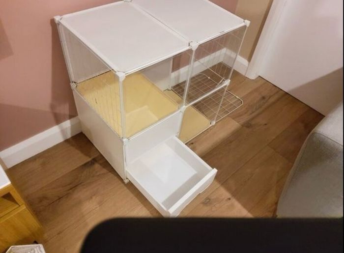 FREE indoor cat house with litter box