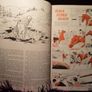 Jinty Christmas Annual 1982. Image 2