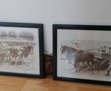 2 Vintage Wall Pictures