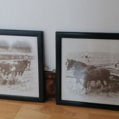 2 Vintage Wall Pictures