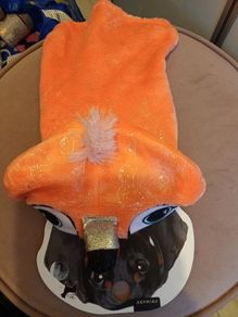 Furry dog coat