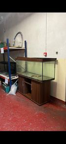 Fish tank