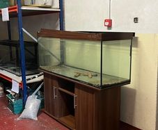 Fish tank