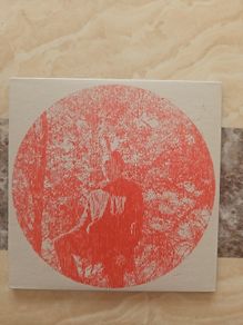 Owen Pallett CD - Heartland
