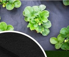 Premium anti weed non woven fabric 100g/sqm 1,06x5m