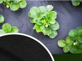 Premium anti weed non woven fabric 100g/sqm 1,06x10m