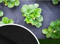 main image for ad Premium anti weed non woven fabric 100g/sqm 1,06x10m