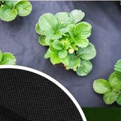 Premium anti weed non woven fabric 100g/sqm 1,06x10m