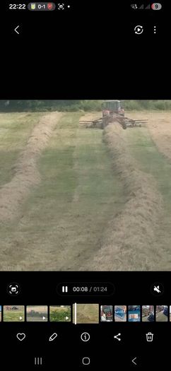 Hay