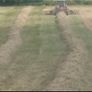 Hay Image 3