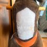 ponycycle Image 3