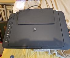 Canon MG2950S Inkjet Printer