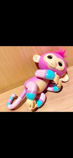 Carebear Bundle