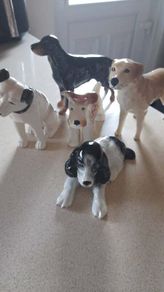 China Dogs (5)
